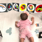 Tải hình ảnh vào trình xem Thư viện, Set Học Liệu Kích Thích Thị Giác Cho Trẻ Sơ Sinh Dạng Đứng Zig Zac Flasdcards