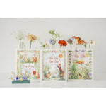 Charger l'image dans la galerie, Những Câu Chuyện Kể Của Thornton Bugess