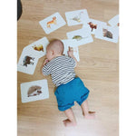 Tải hình ảnh vào trình xem Thư viện, Bộ Thẻ Học Thông Minh 19 Chủ Đề