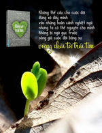 Tải hình ảnh vào trình xem Thư viện, Hiểu Về Trái Tim