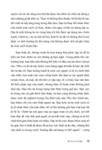 Charger l'image dans la galerie, Bạn Đỡ Ngu Ngơ Rồi Đấy