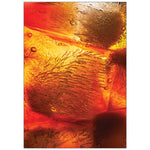 Tải hình ảnh vào trình xem Thư viện, Brew Tuyệt Đỉnh Cà Phê Tài Nhà