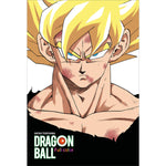 Tải hình ảnh vào trình xem Thư viện, Dragon Ball Full Color - Phần Bốn - Tập 4