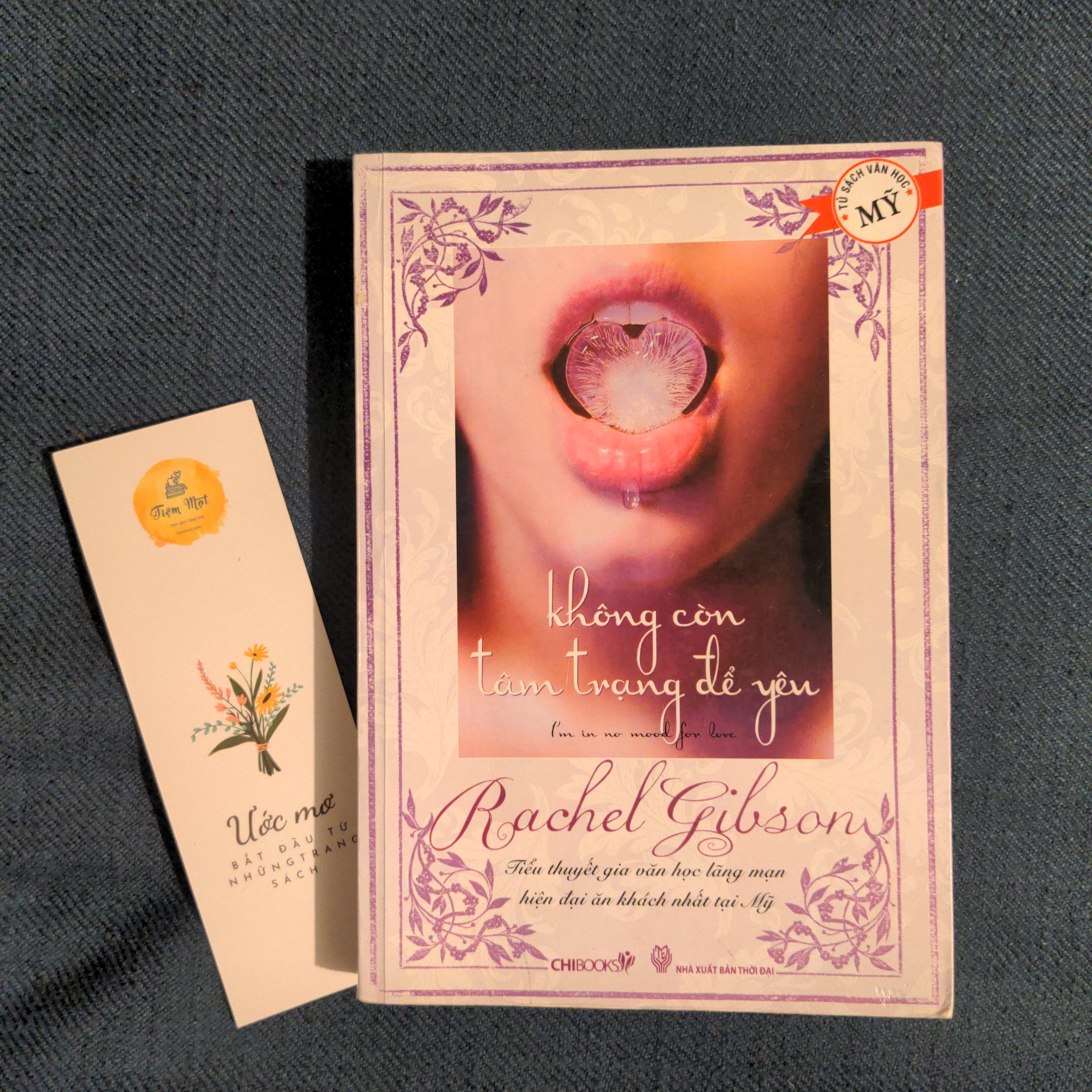 Không còn tâm trạng để yêu (Thuộc dự án Sách cho tặng)