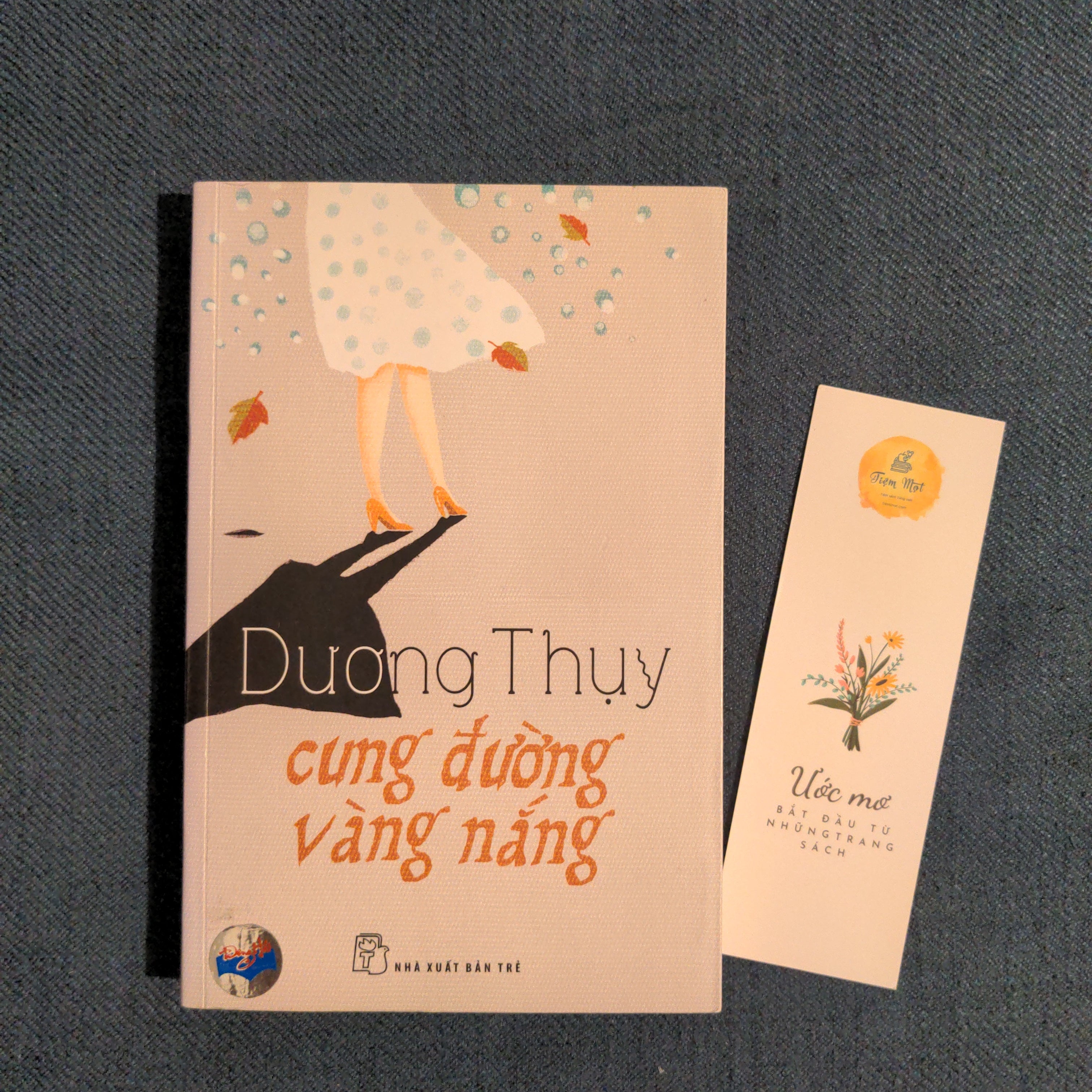Cung đường vàng nắng (Thuộc dự án Sách cho tặng)