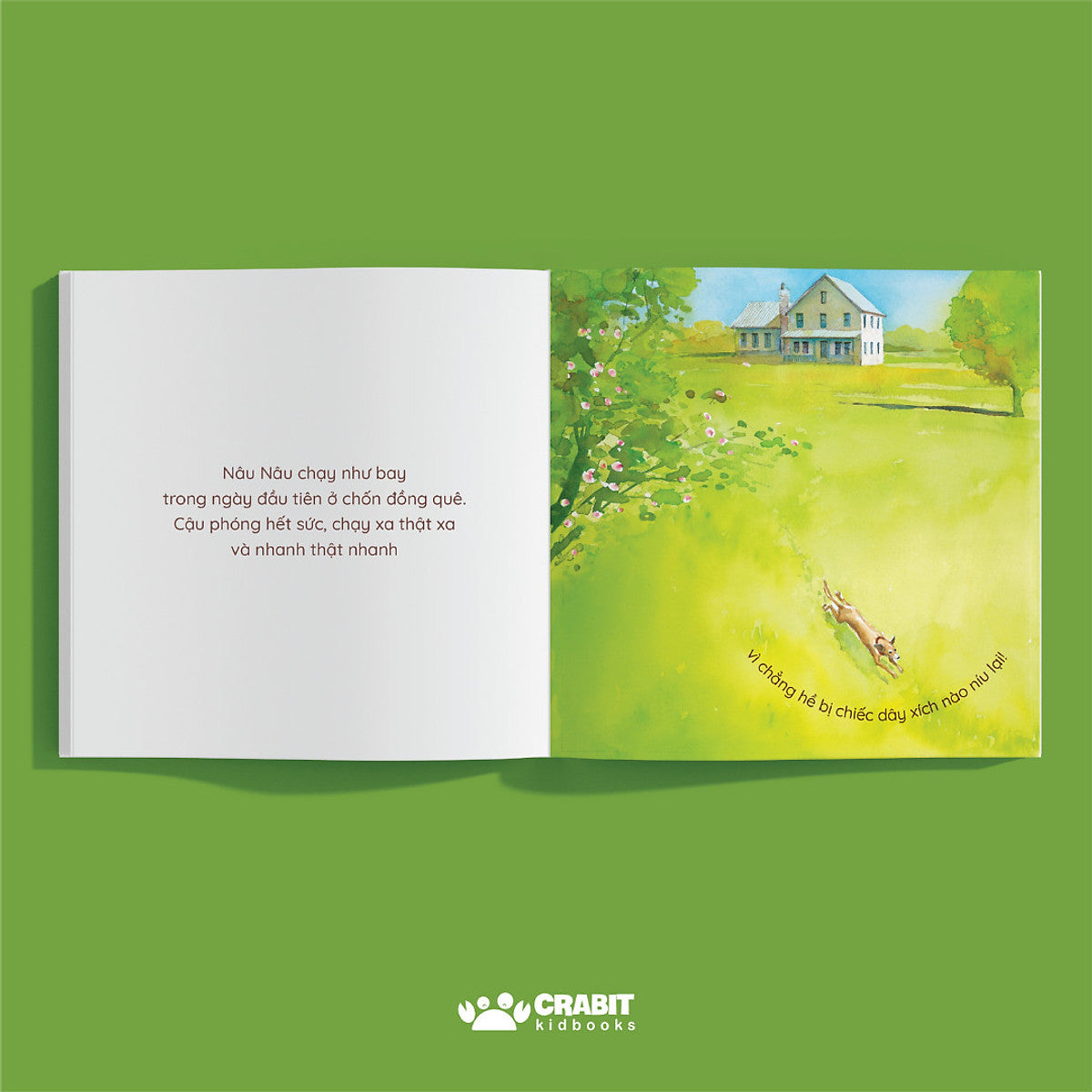 Nâu Nâu Thị Thanh Xanh Xanh Đồng Quê