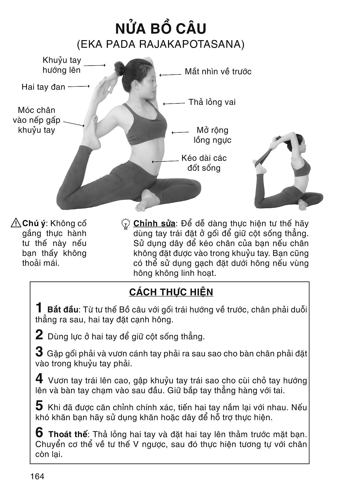 Hướng Dẫn Khởi Động & 200 Tư Thế Yoga Từ Cơ Bản Đến Nâng Cao