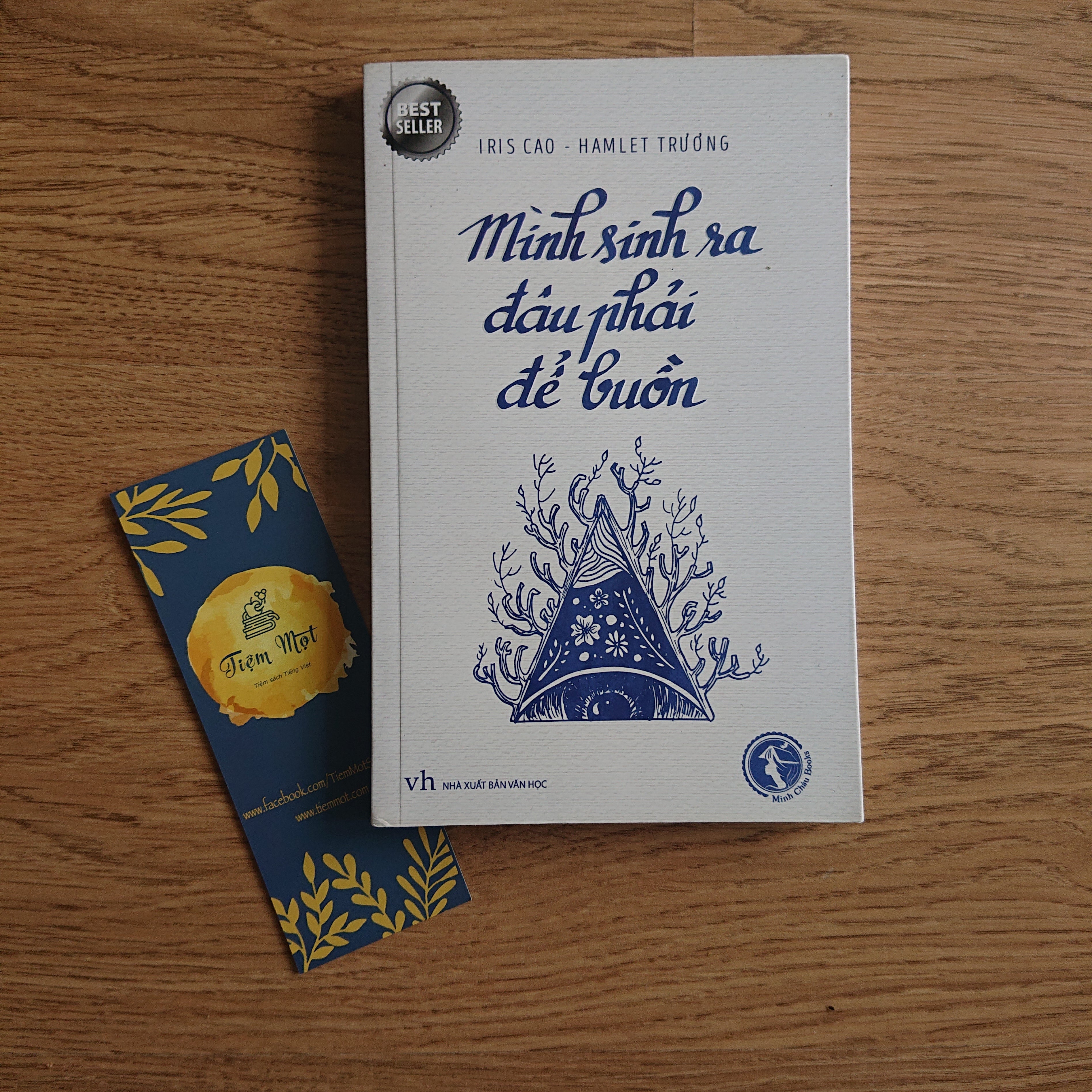Mình sinh ra đâu phải để buồn (Thuộc dự án Sách cho tặng)
