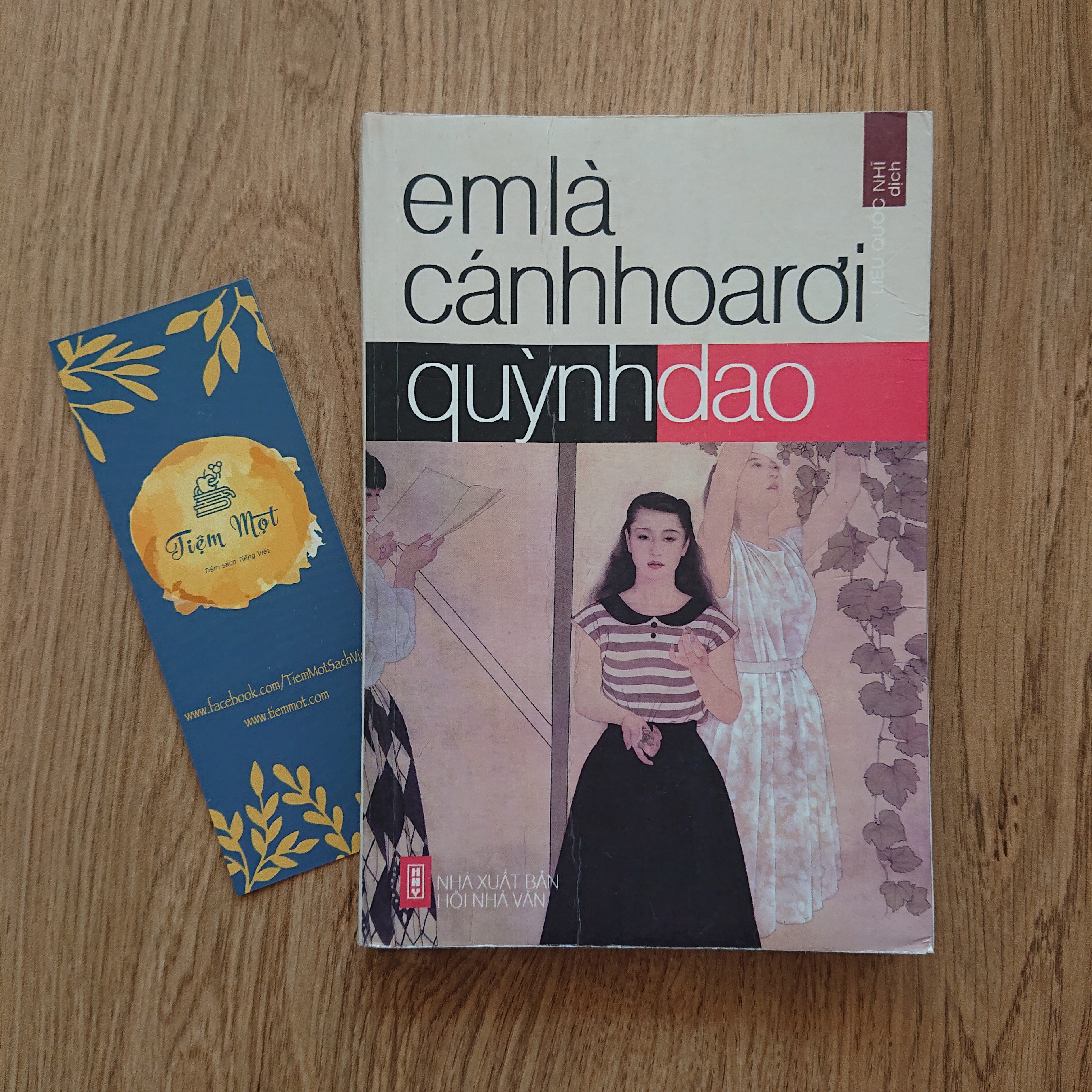 Em là cánh hoa rơi (Thuộc dự án Sách cho tặng)