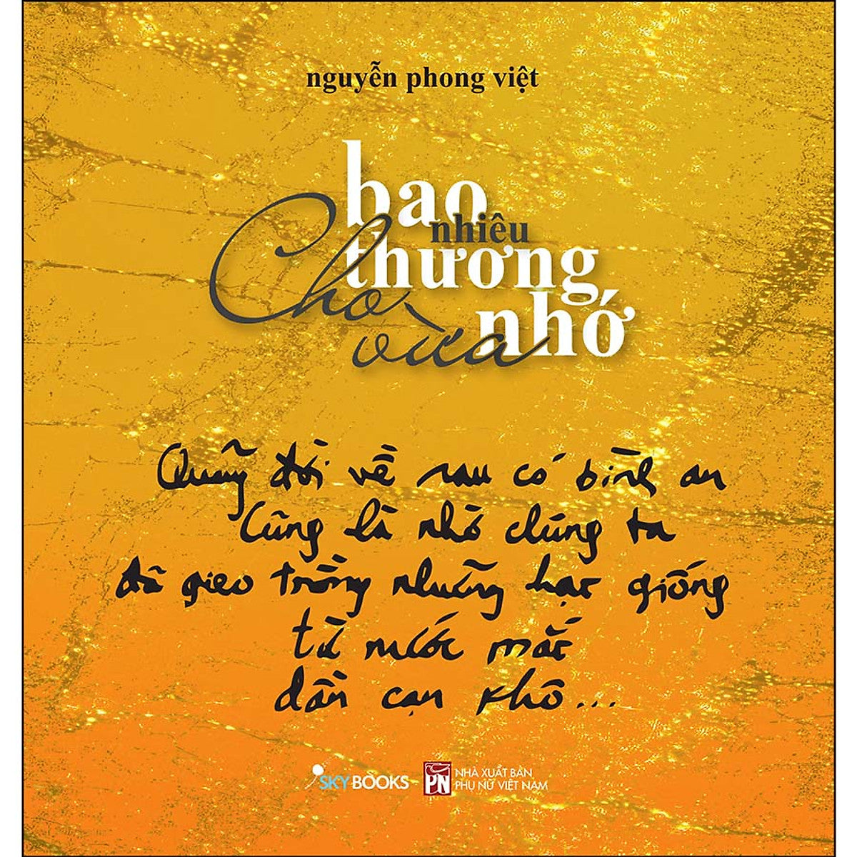 Bao Nhiêu Thương Nhớ Cho Vừa