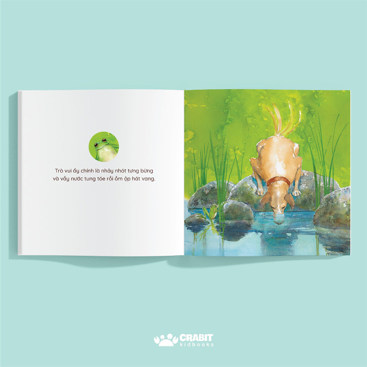 Nâu Nâu Thị Thanh Xanh Xanh Đồng Quê